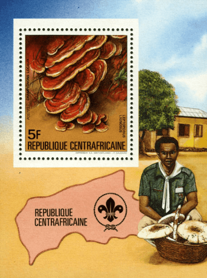 Local Mushrooms 1984