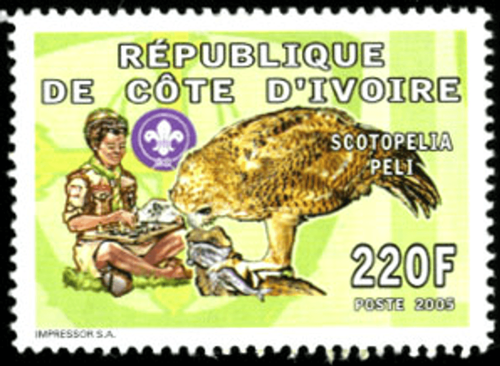 Scouting & Fauna