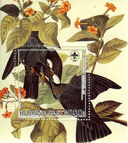 Birds from "JJ Audubon"