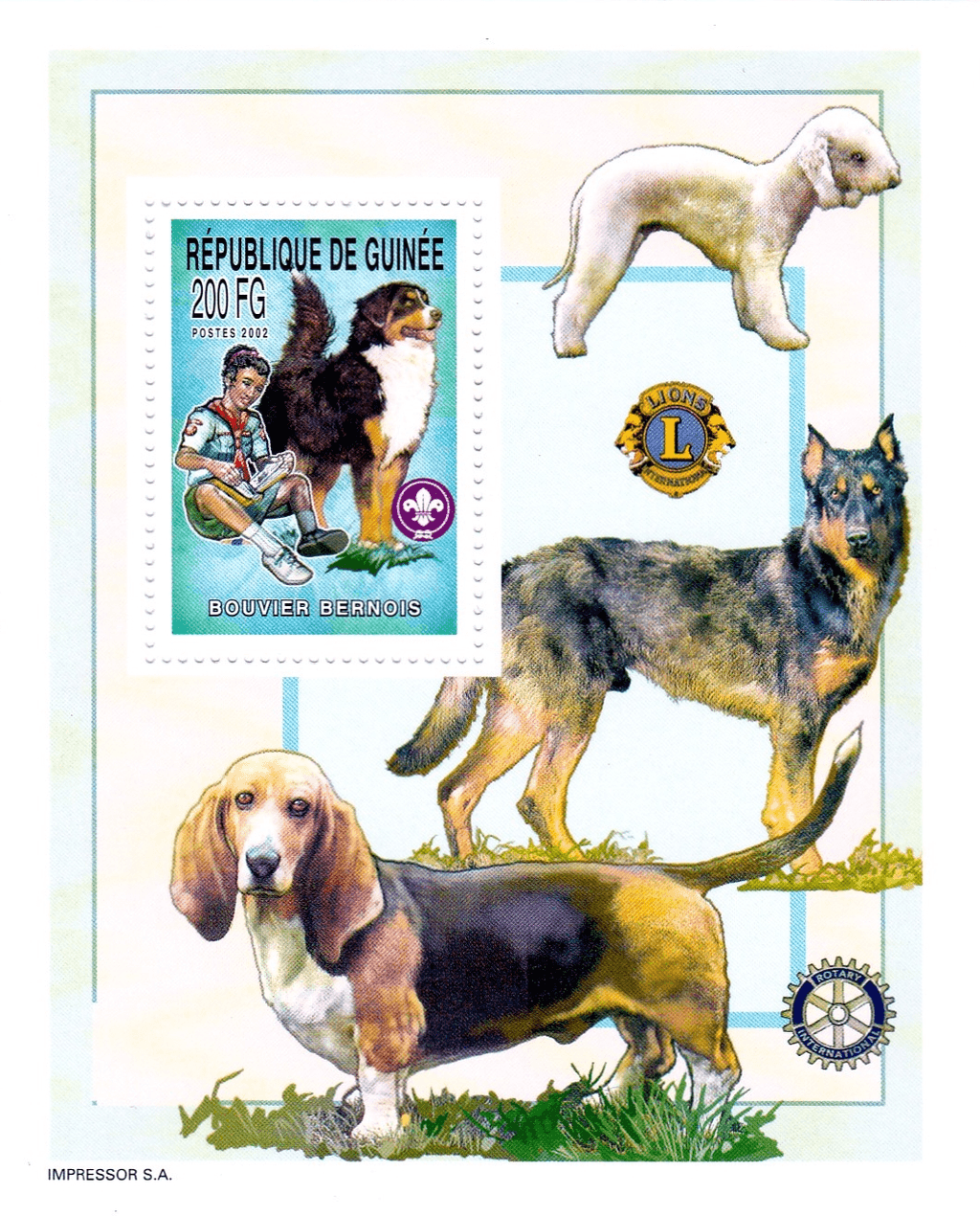 Boy Scout and Dogs 2002