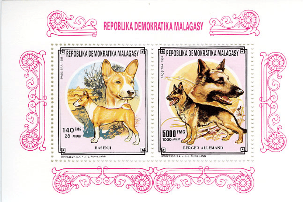 Domestic animals