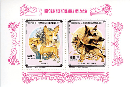 Domestic animals