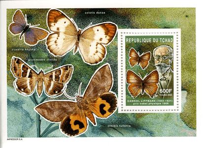 Nobel prize (4633)