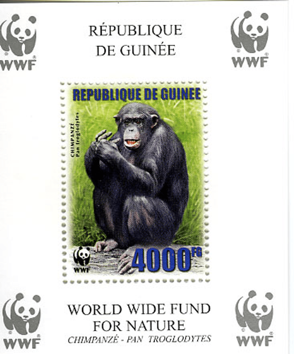 Singes (Chimpanzé WWF)