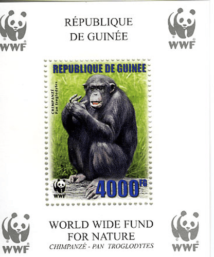Singes (Chimpanzé WWF)