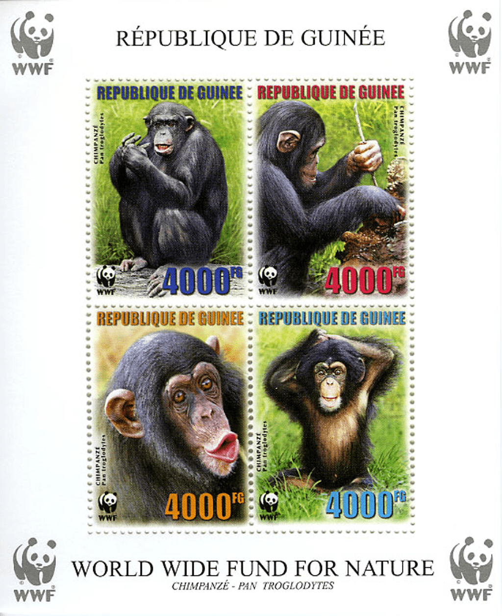 Singes (Chimpanzé WWF)
