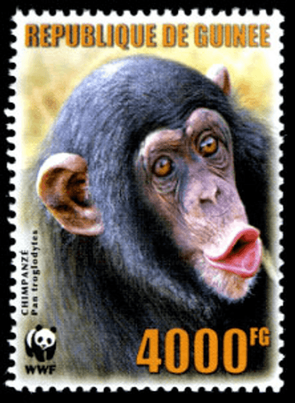 Singes (Chimpanzé WWF)
