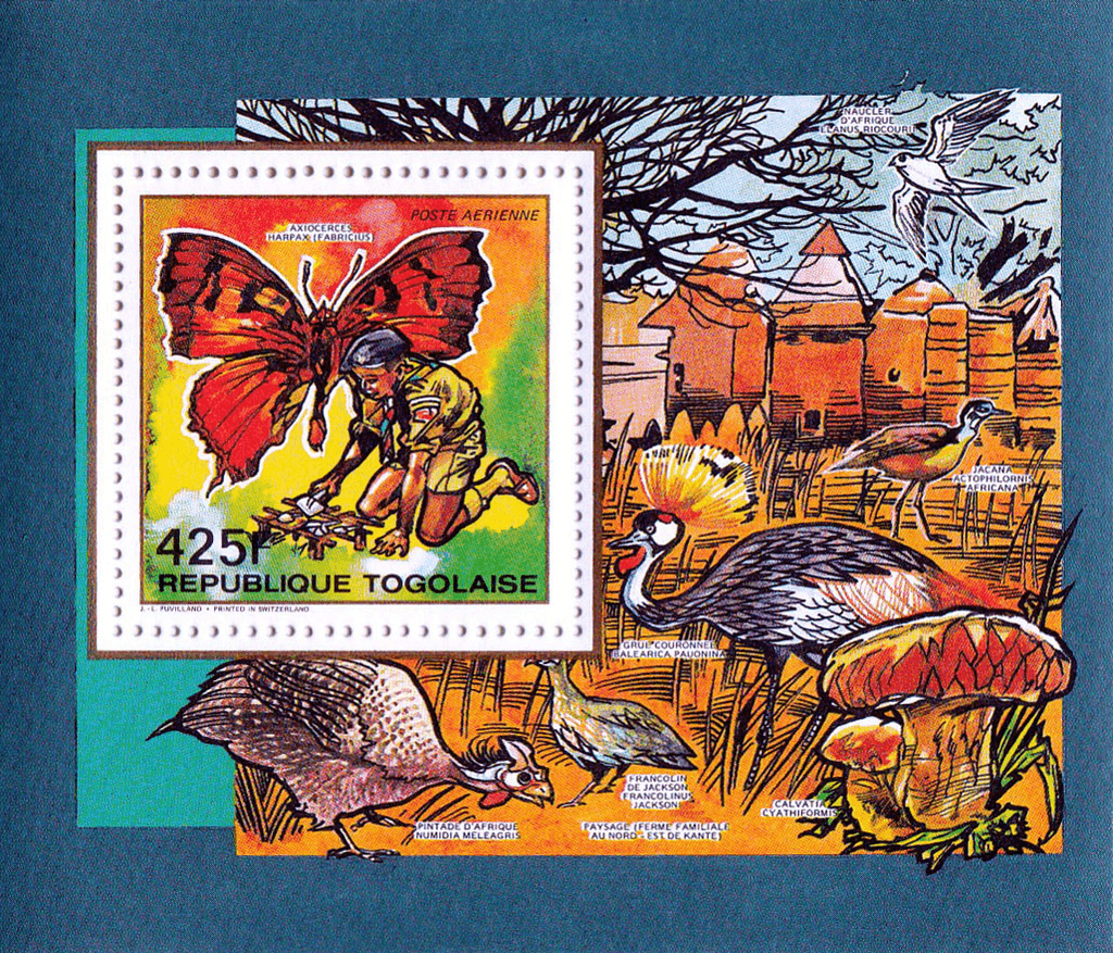 Pathfinder Naming Butterflies and Mushrooms 1990