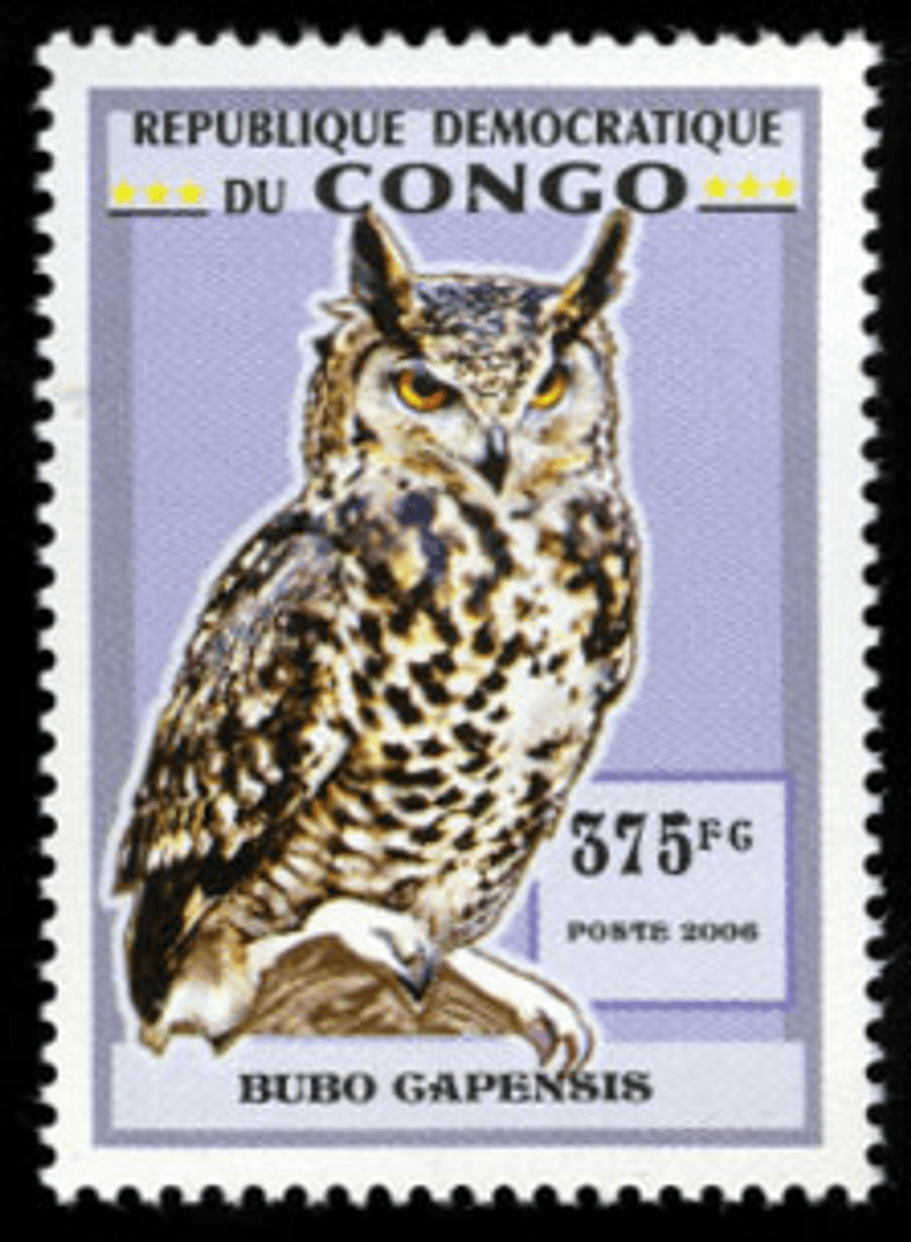Owls