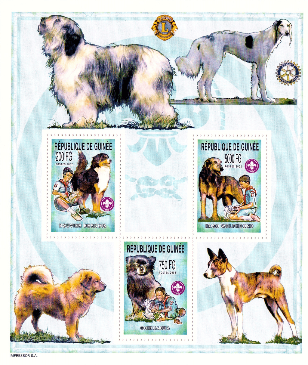 Boy Scout and Dogs 2002