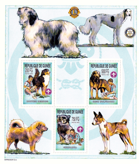 Boy Scout and Dogs 2002