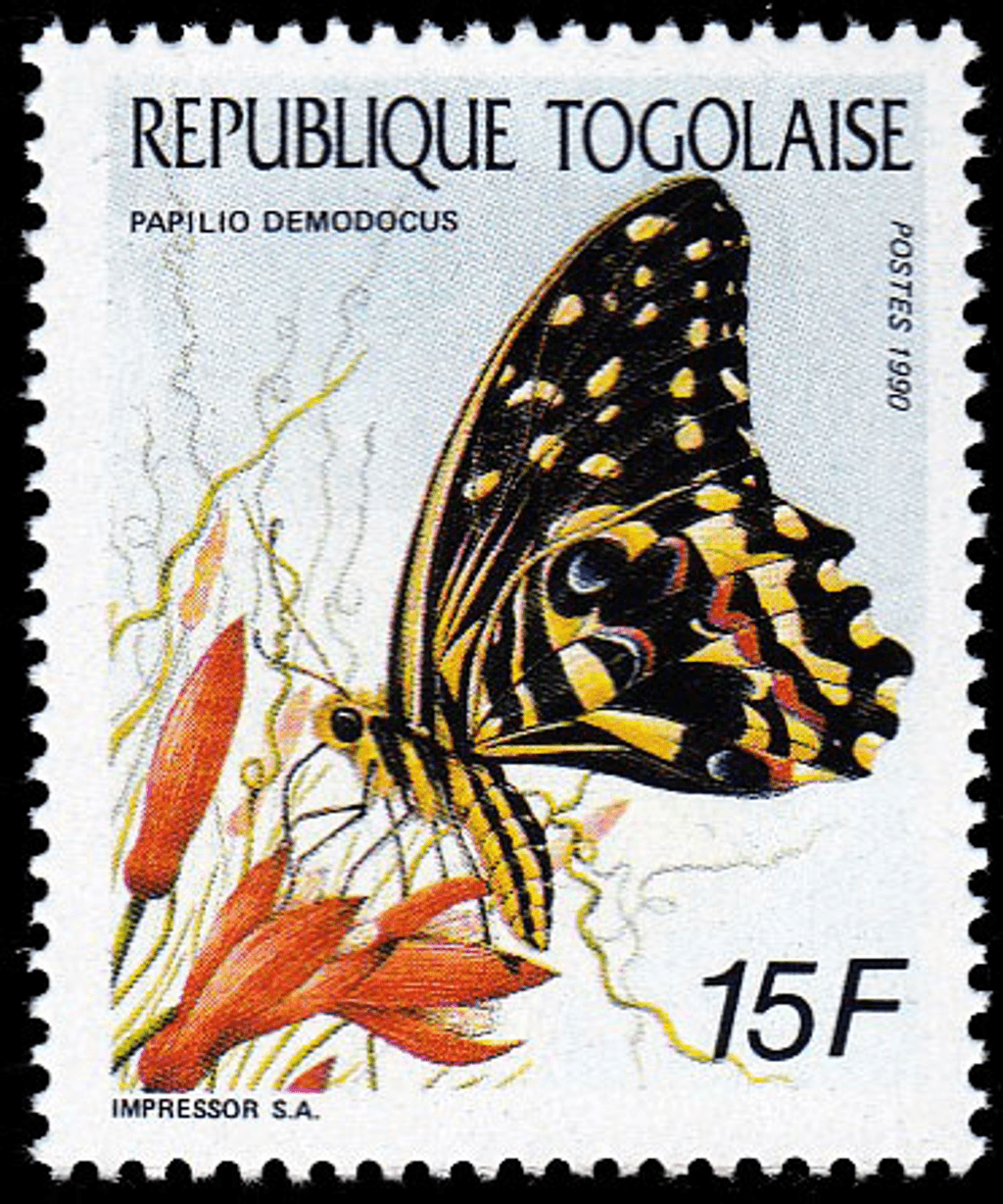 Butterflies  1990