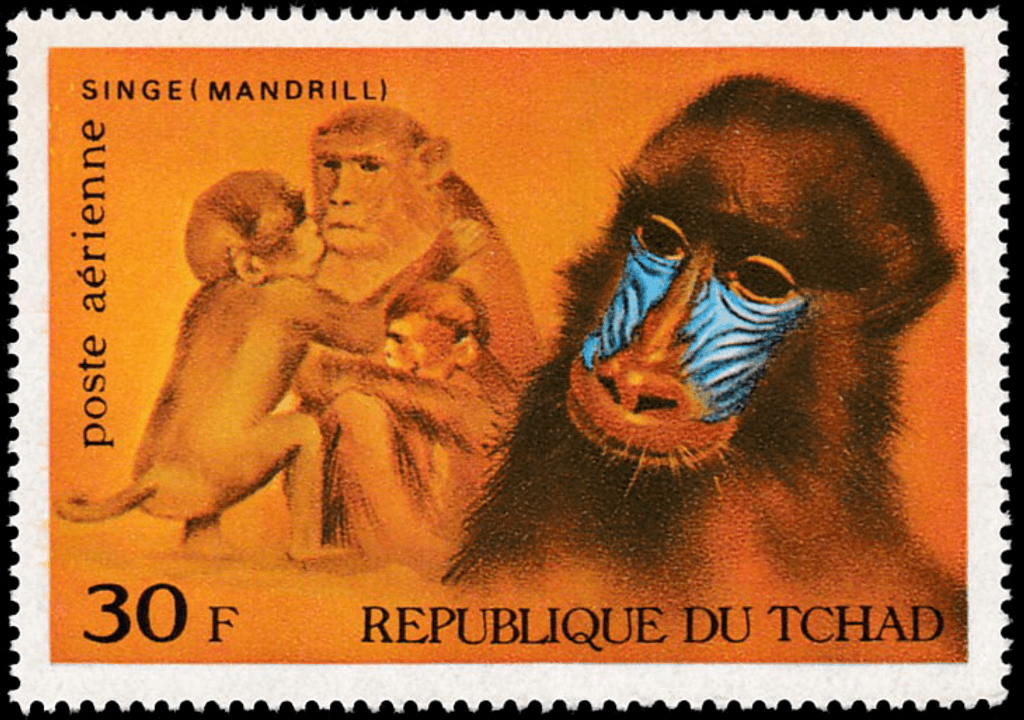 Mammals  1972