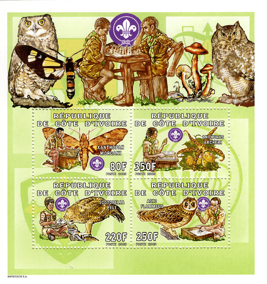 Scouting & Fauna