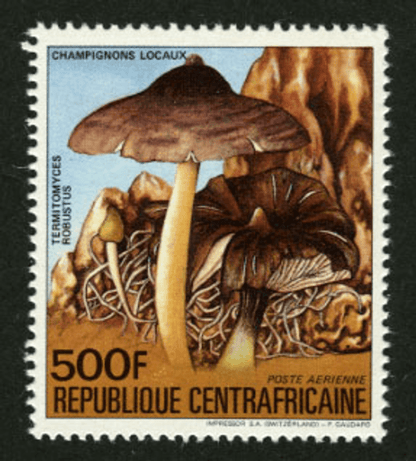 Local Mushrooms 1984