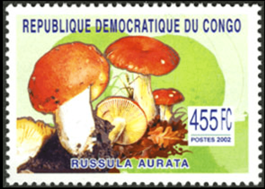 Mushrooms