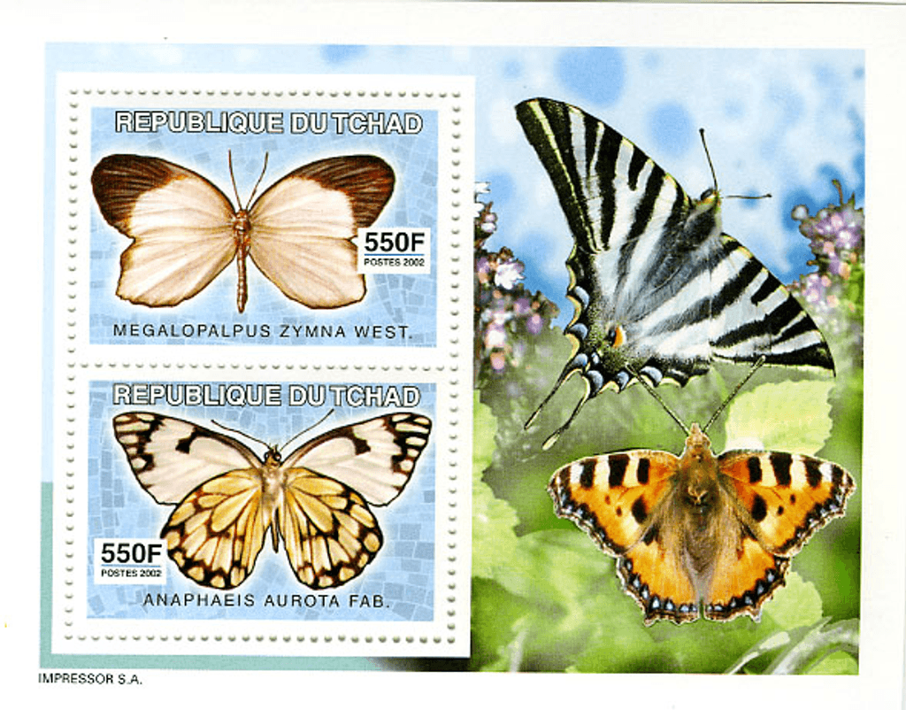 Butterflies (4579)