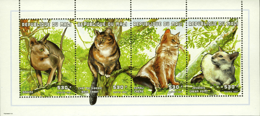 Cat breeds