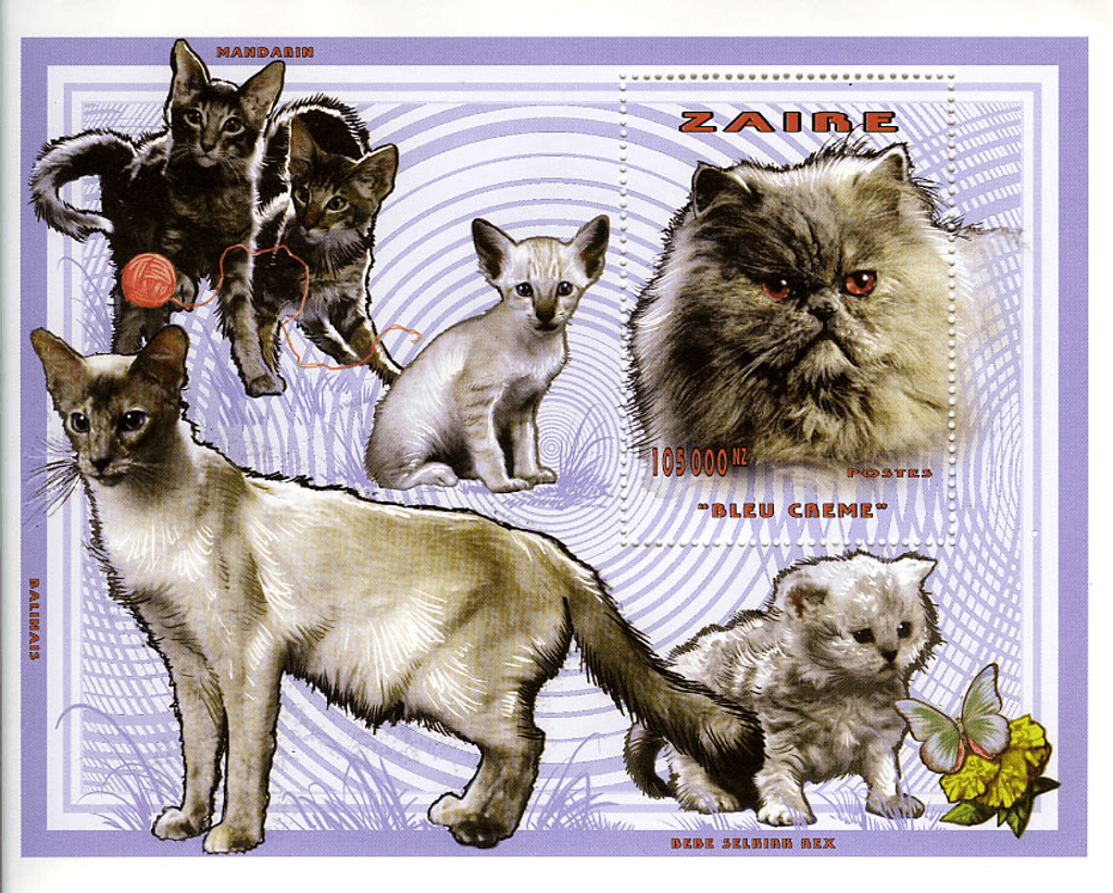 Cat breeds (2573)