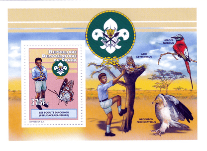 scout and natural science 2012