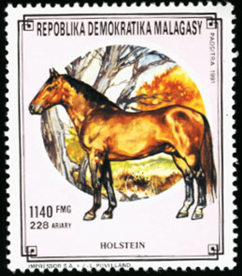 Domestic animals