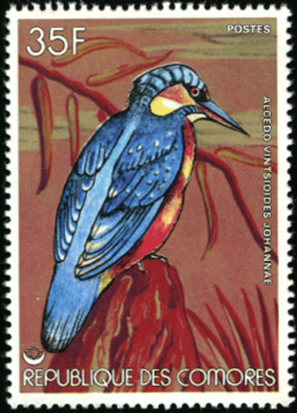 Birds