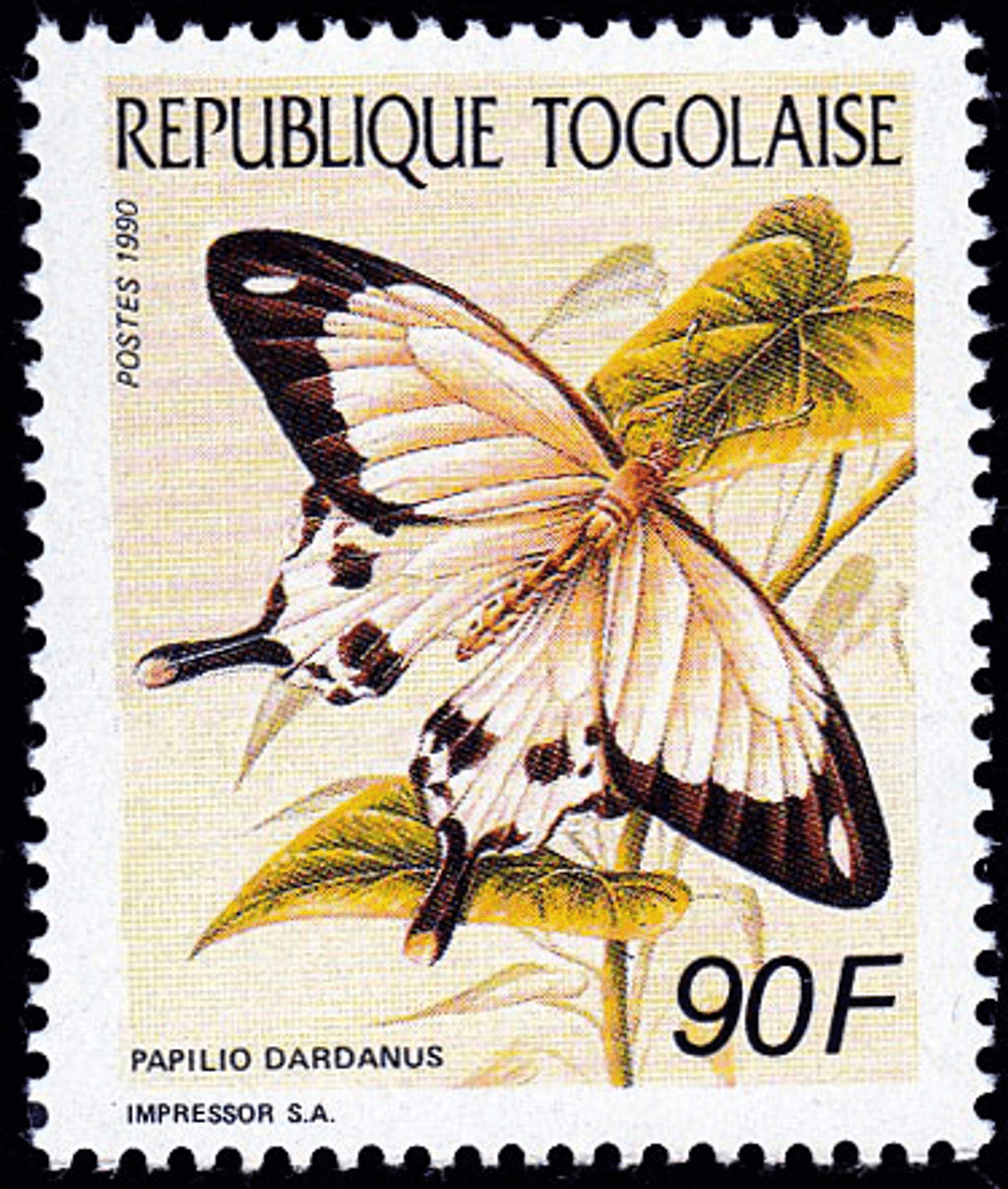 Butterflies  1990