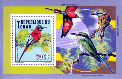 Indigenous Birds 2012
