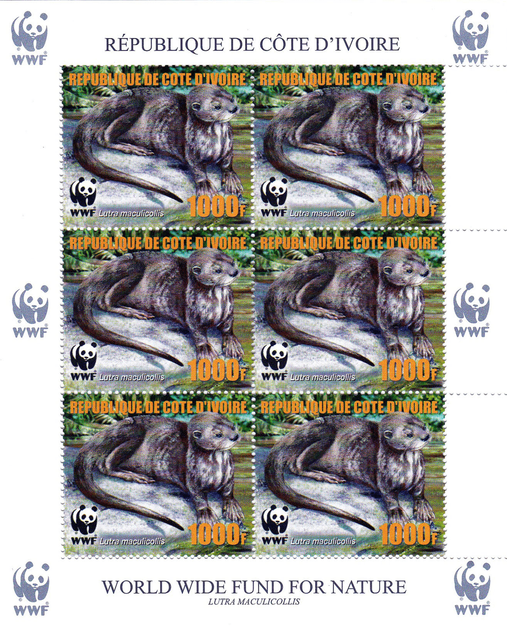 Worldwide Conservation 2005  (Otters)