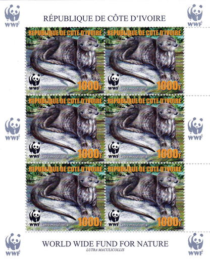 Worldwide Conservation 2005  (Otters)