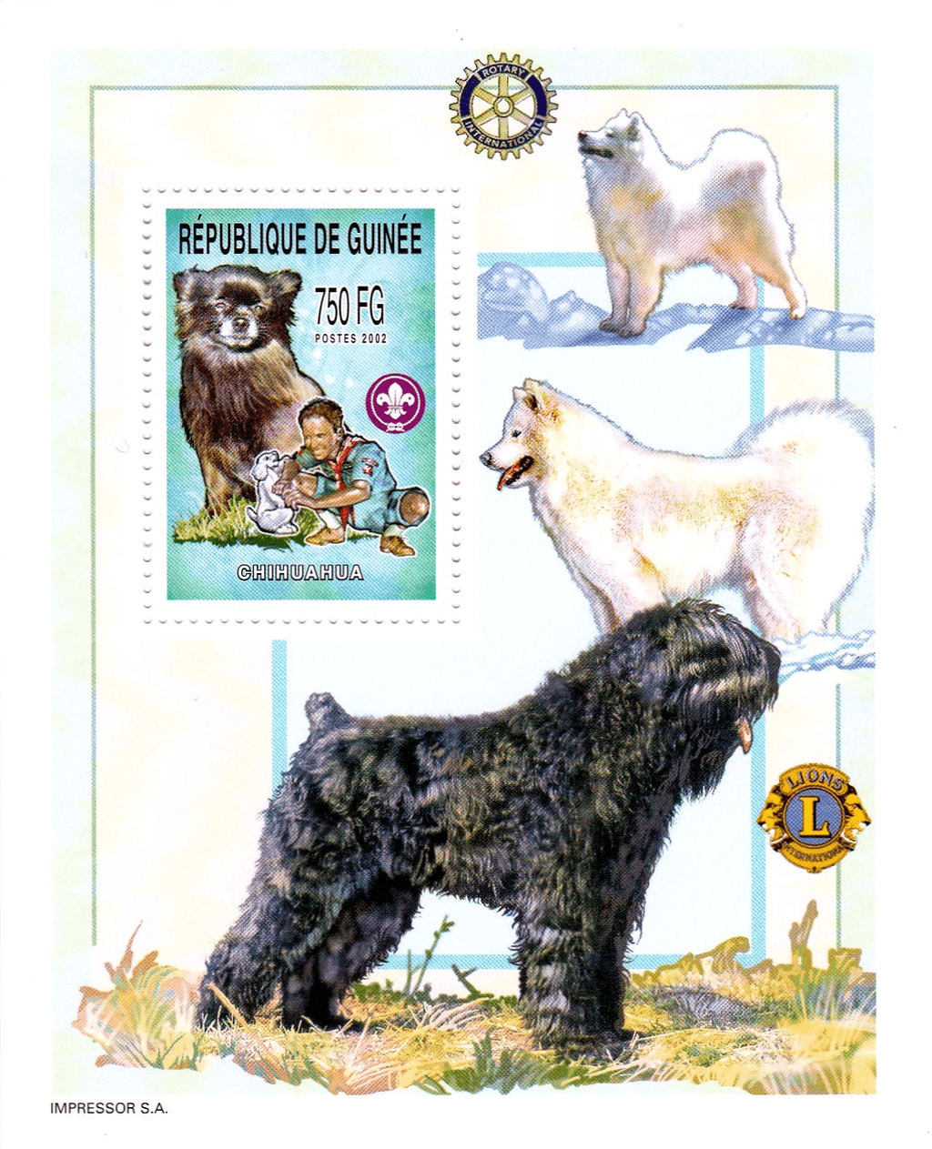 Boy Scout and Dogs 2002