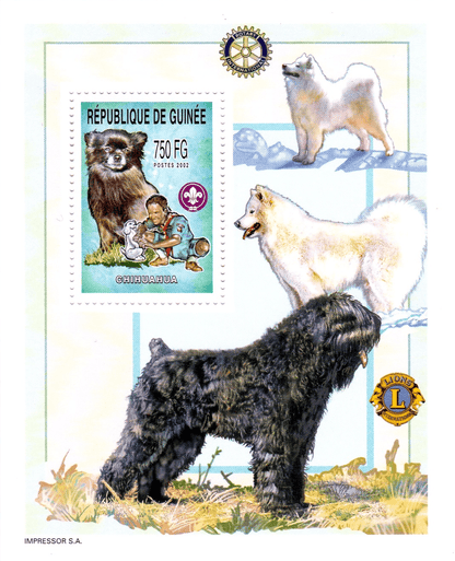 Boy Scout and Dogs 2002
