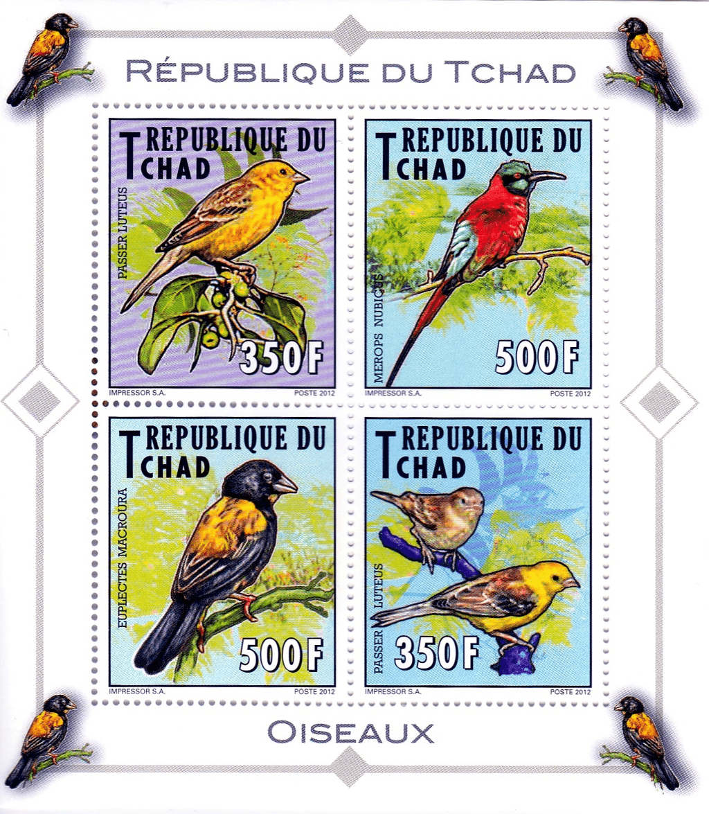 Indigenous Birds 2012