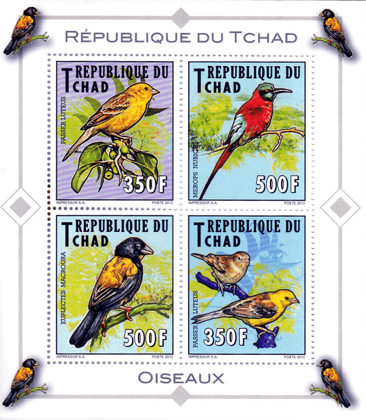 Indigenous Birds 2012