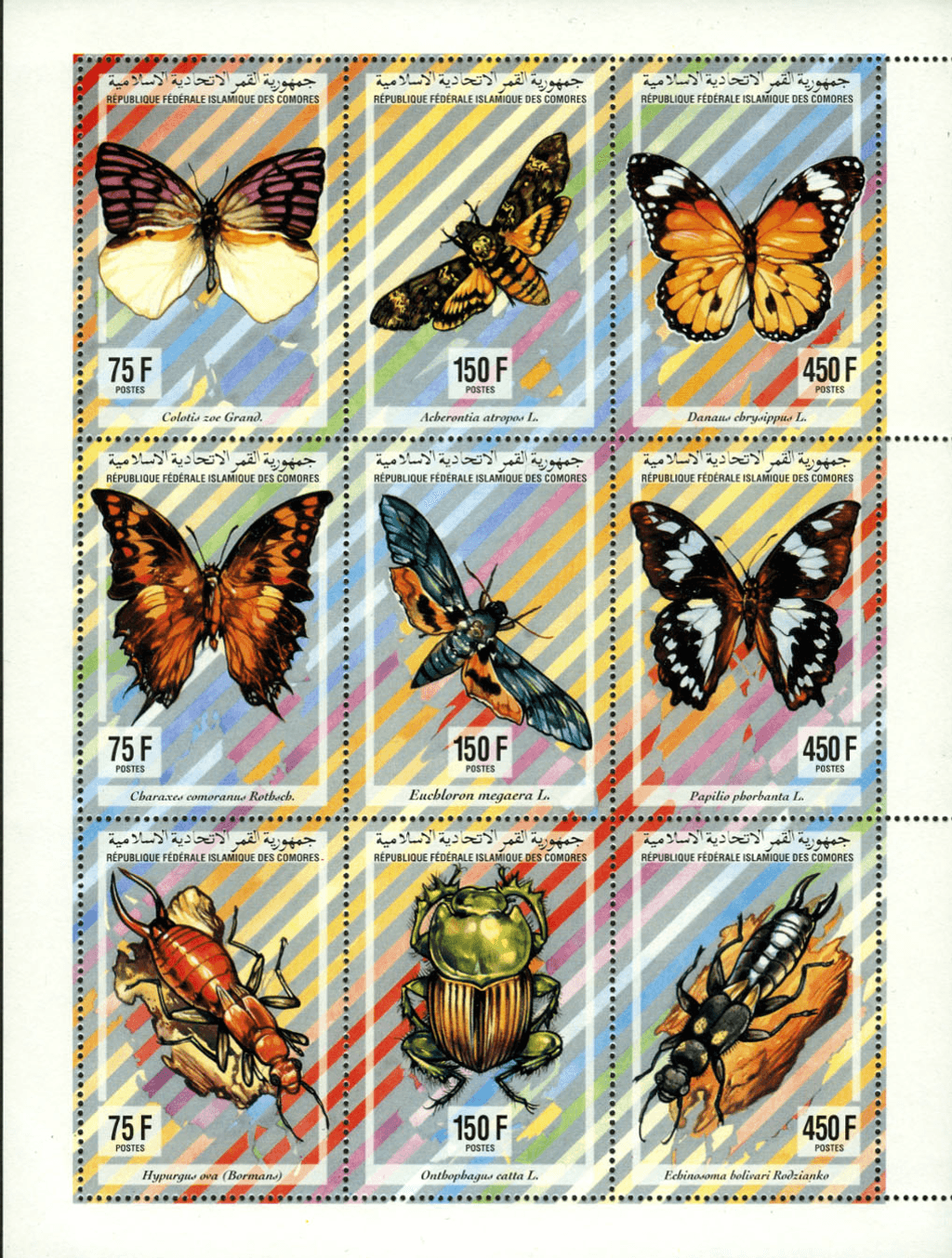 Butterflies / Insects (5624)