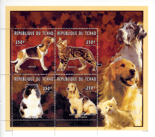 Cats & Dogs
