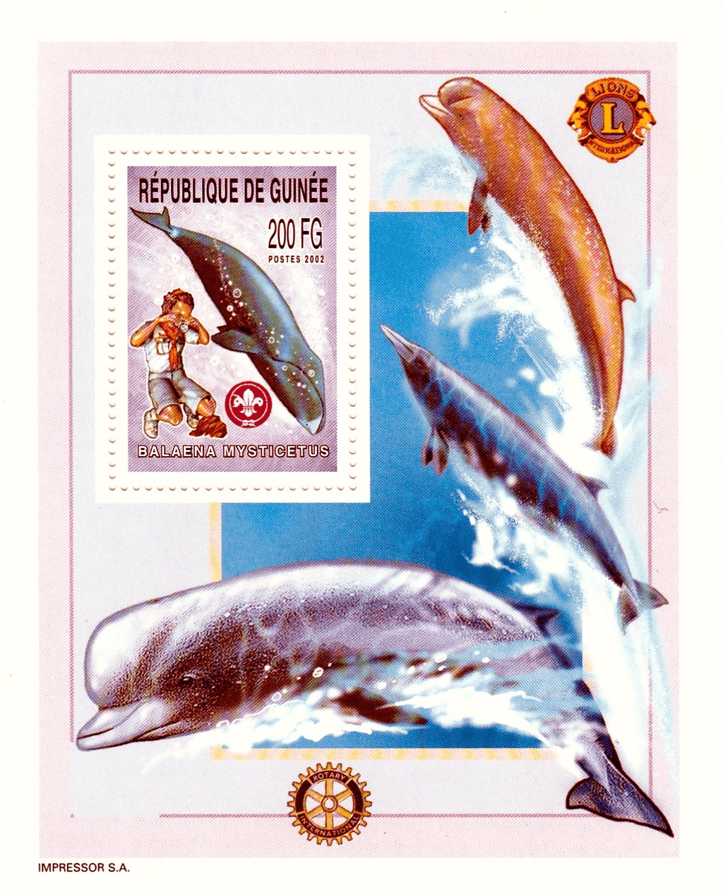 Boy Scouts and Whales