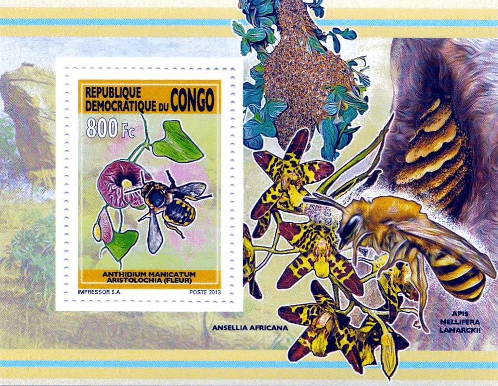 Bees and flowers