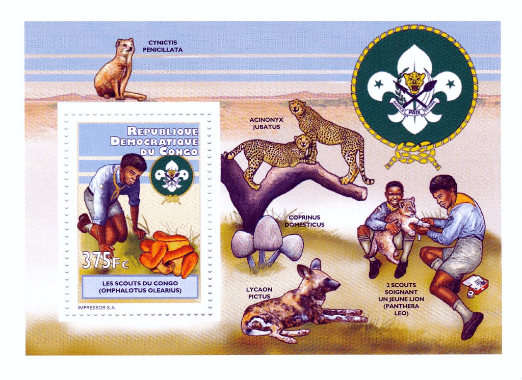 scout and natural science 2012