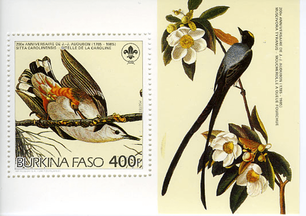 Birds from "JJ Audubon"