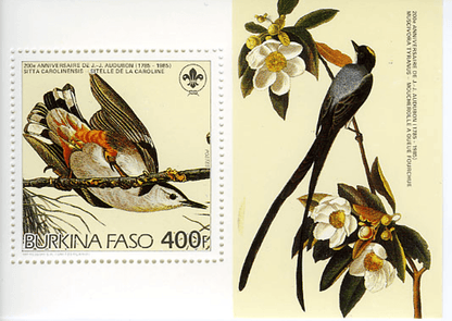 Birds from "JJ Audubon"