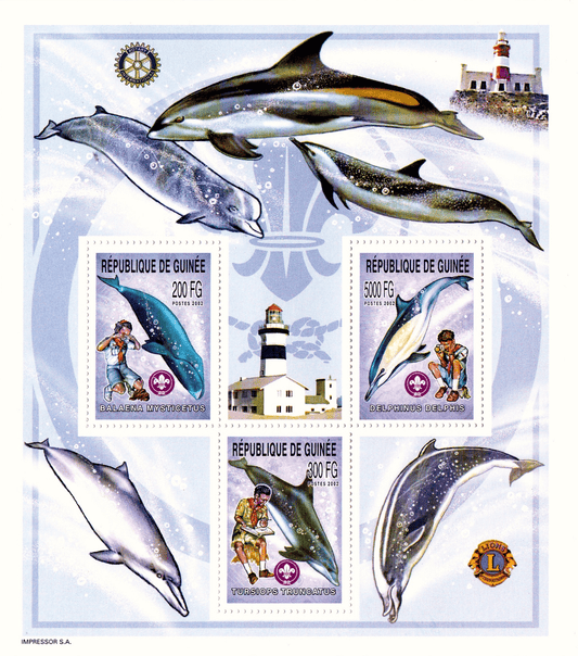 Boy Scouts and Whales