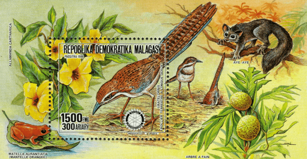 Animals Rotary international