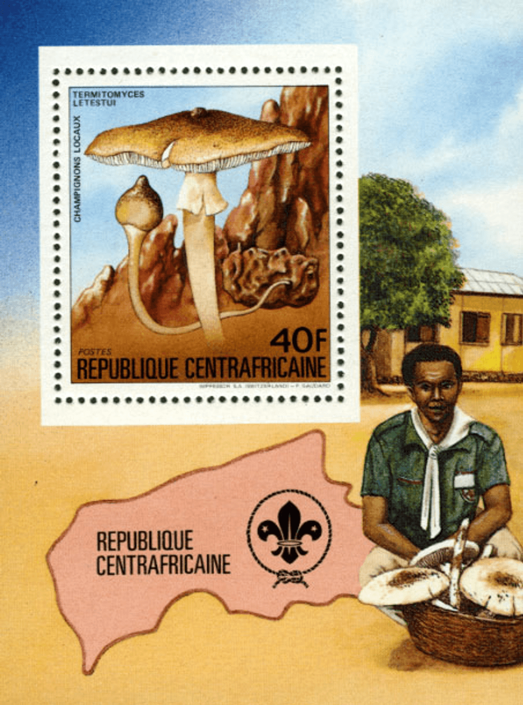 Local Mushrooms 1984
