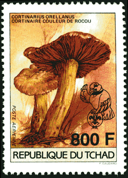 18 th Jamborée Netherland /Mushrooms
