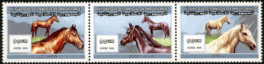 Horses