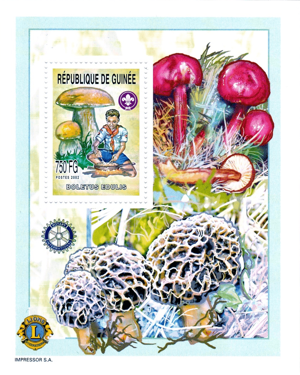 Boy Scout and Mushrooms 2002