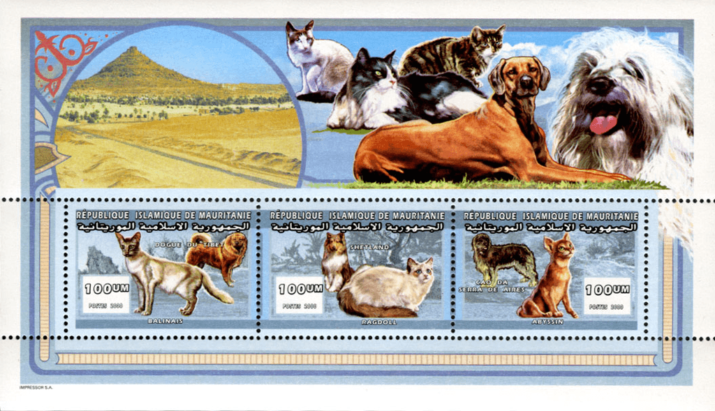 Cat & dog breeds