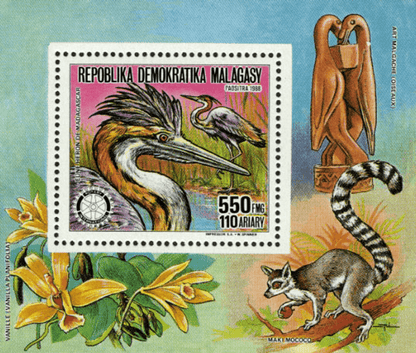 Animals Rotary international