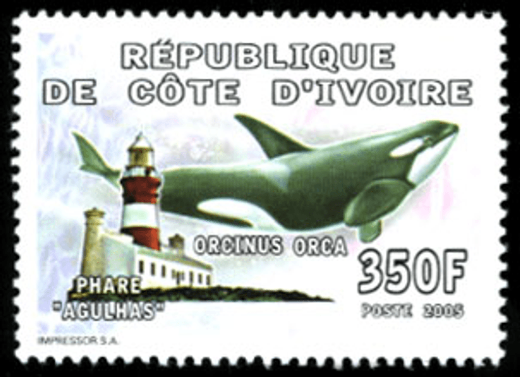 Marine Animals (3870)